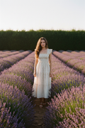 The Rachel Dress - Rosebud